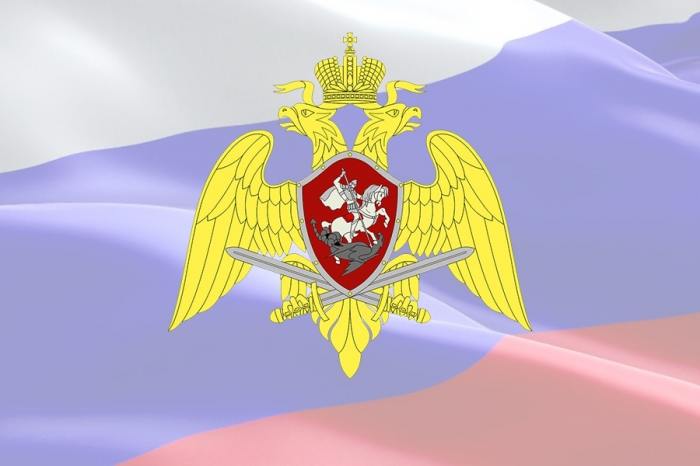 В Архангельской области сотрудники Росгвардии изъяли 68 единиц оружия за месяц