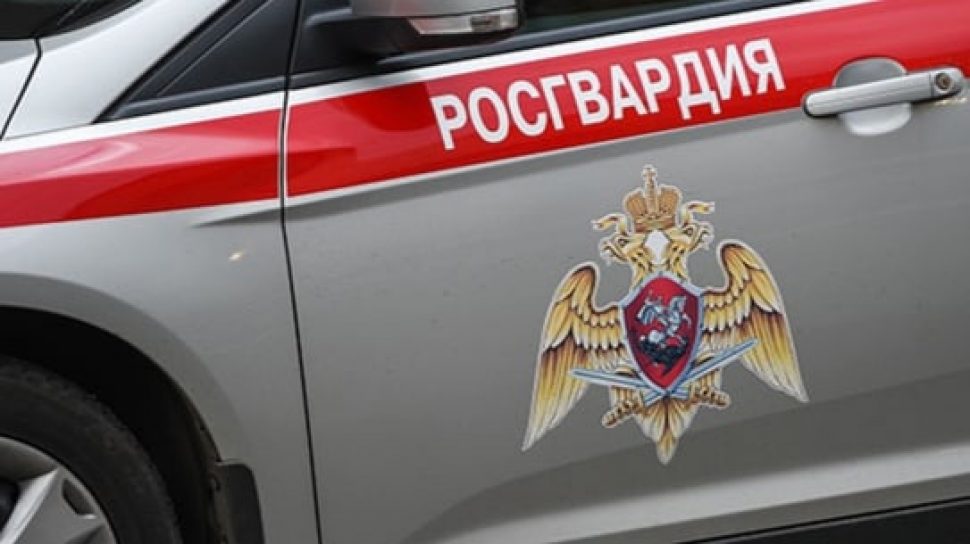 Сотрудники Росгвардии задержали архангелогородца, похитившего продукты питания из магазина