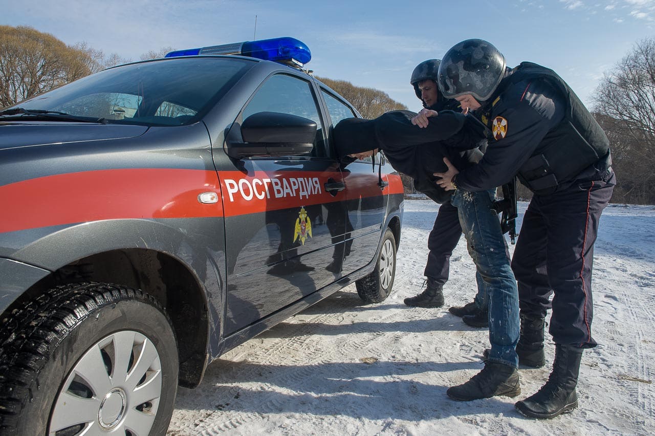 В Северодвинске задержали дачного вора-рецидивиста