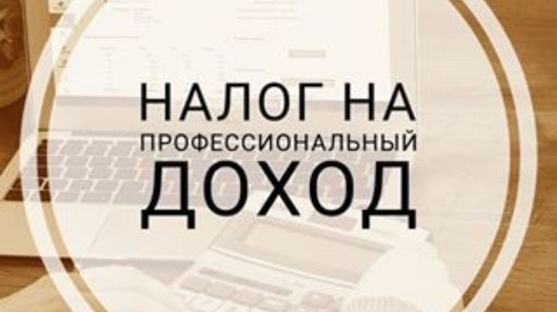 В Поморье ввели специальный налоговый режим «Налог на профессиональный доход»