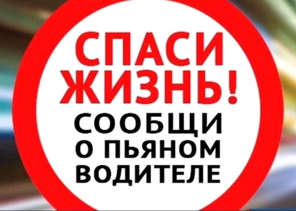 Госавтоинспекция Архангельской области призвала сообщать о нетрезвых водителях