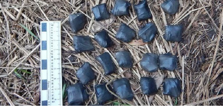 В Северодвинске поймали закладчика
