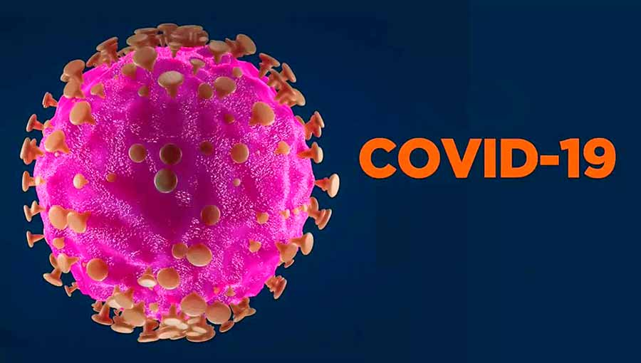 Половина жителей Поморья болеет COVID-19 бессимптомно