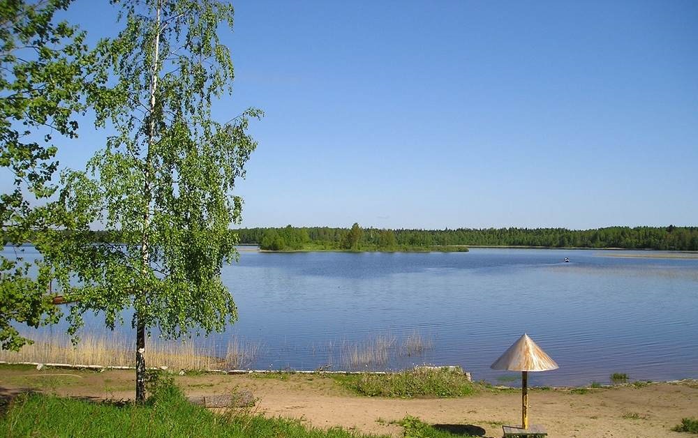 Под Архангельском подростки спасли утопающего