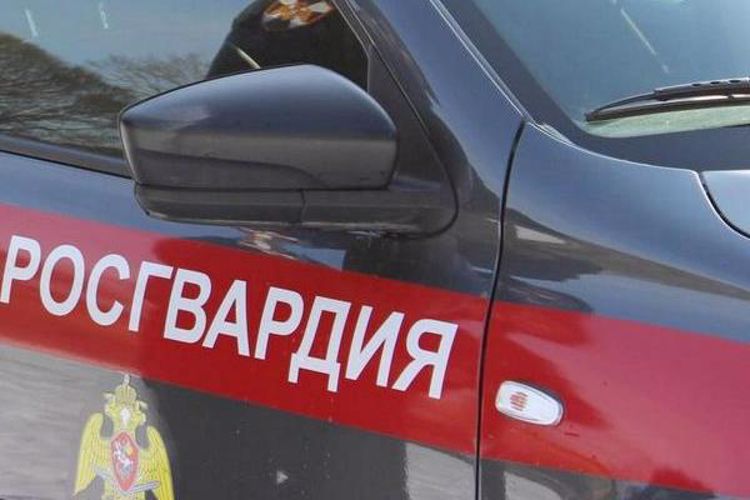 Северодвинку поймали при хищении продуктов