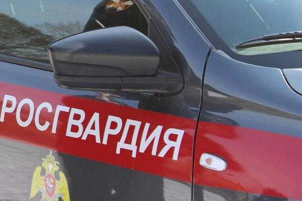 В Архангельске хитрецы попытались купить креветок по цене свёклы 
