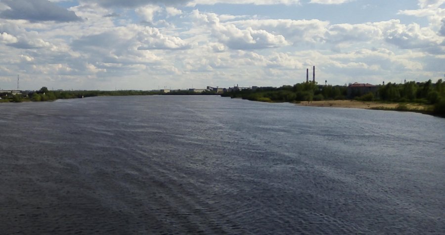 Нетрезвый архангелогородец чуть не утонул в реке