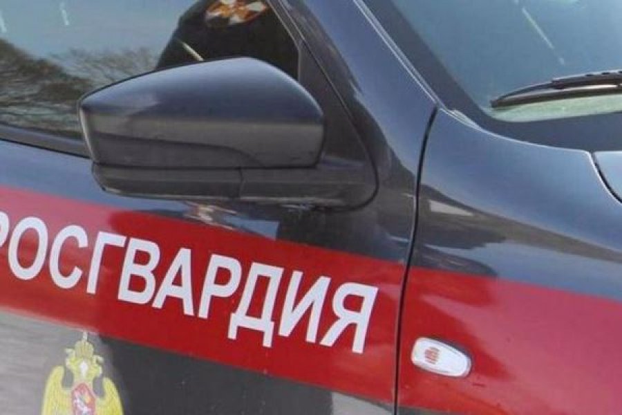 Северодвинские росгвардейцы задержали мужчину, жестоко избившего женщину 
