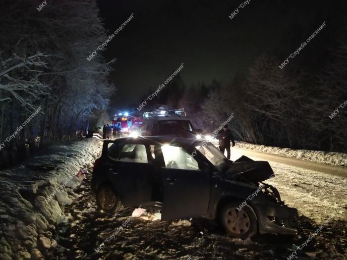 В ДТП на юге Архангельской области погибла женщина