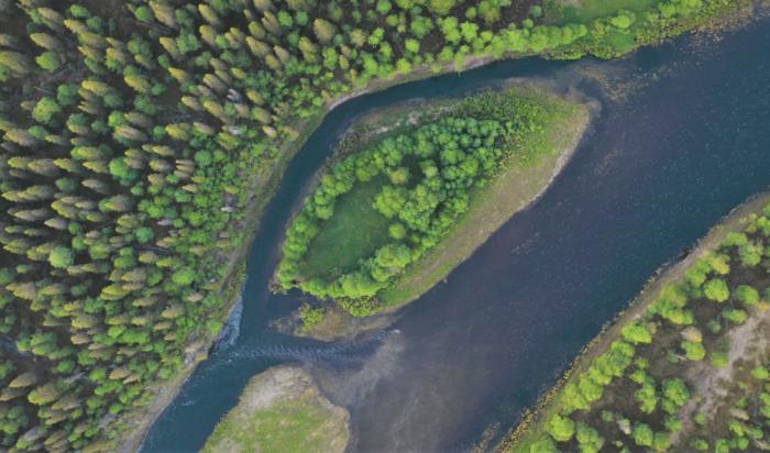 WWF представил документальный фильм о Лешуконии
