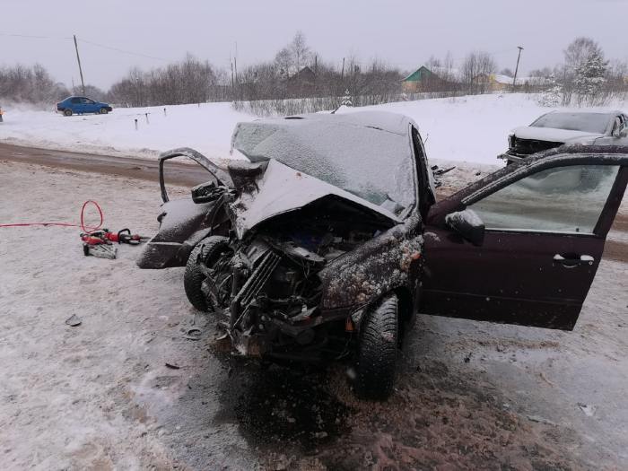 В ДТП под Шенкурском погибла женщина