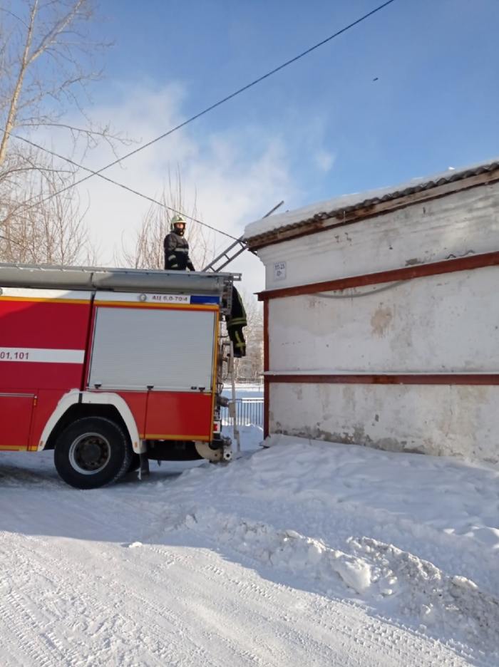 Новодвинские пожарные спасли филина от ворон