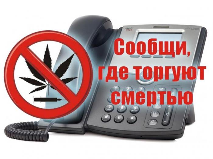 В Поморье пройдет акция «Сообщи, где торгуют смертью»