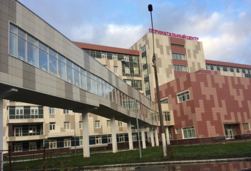 В перинатальном центре Архангельска в апреле родилось девять двоен