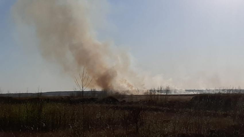 Под Северодвинском ликвидировали лесной пожар
