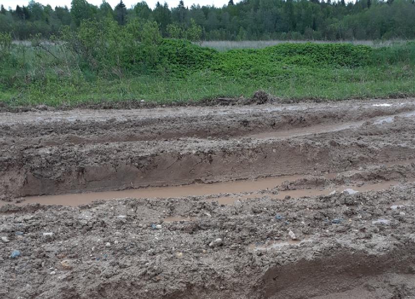 Фото пользователей соцсетей