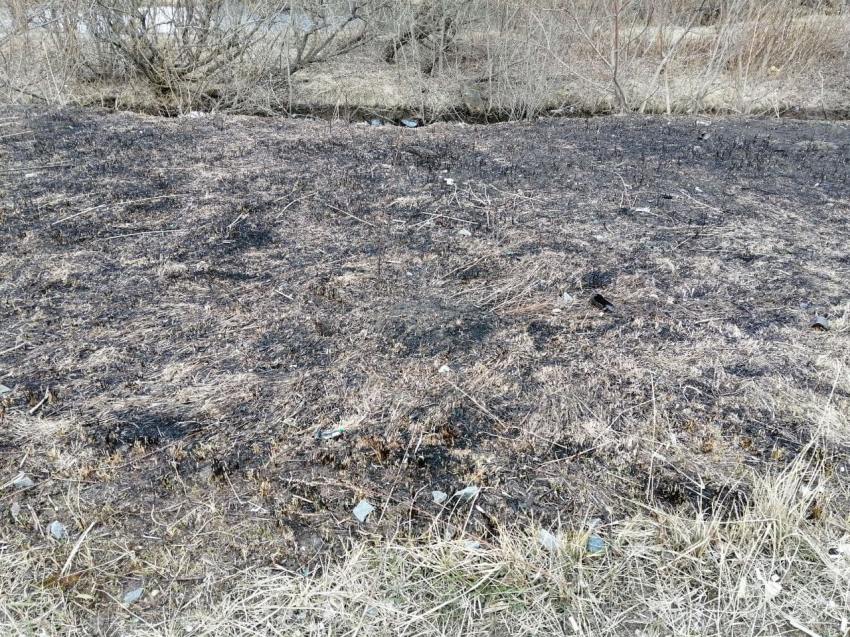 В Северодвинске на улице Окружной горит сухая трава