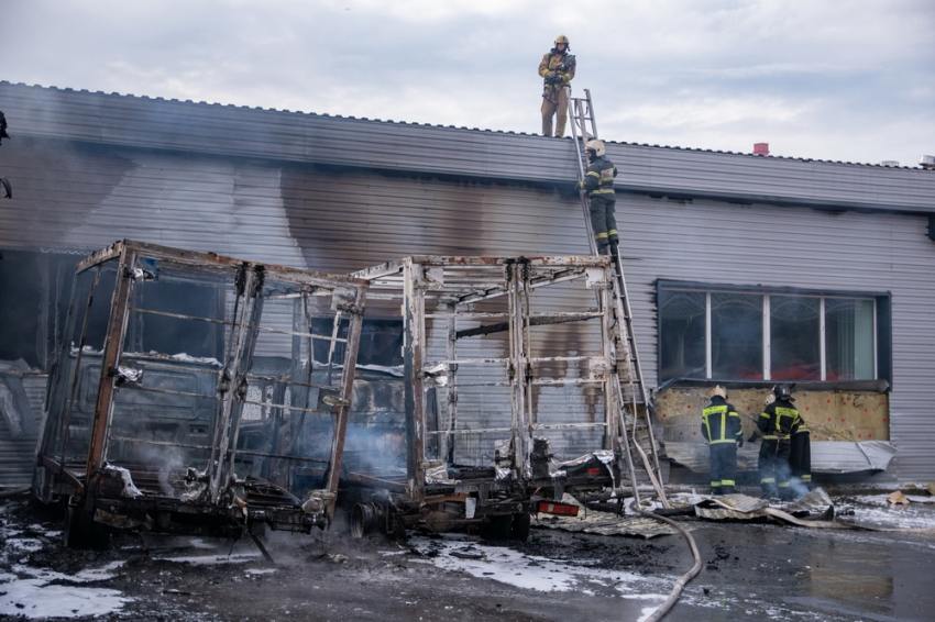 Фото: Илья Тильман