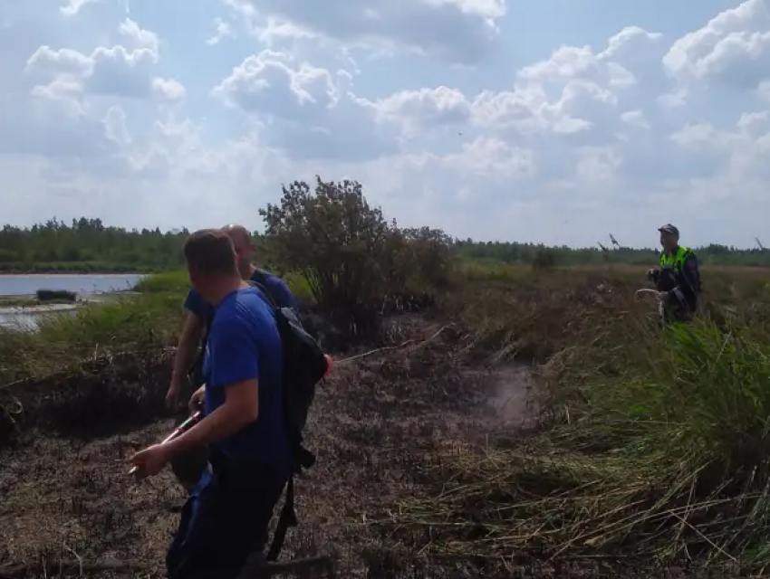 Трава и камыш горели в окрестностях Северодвинска