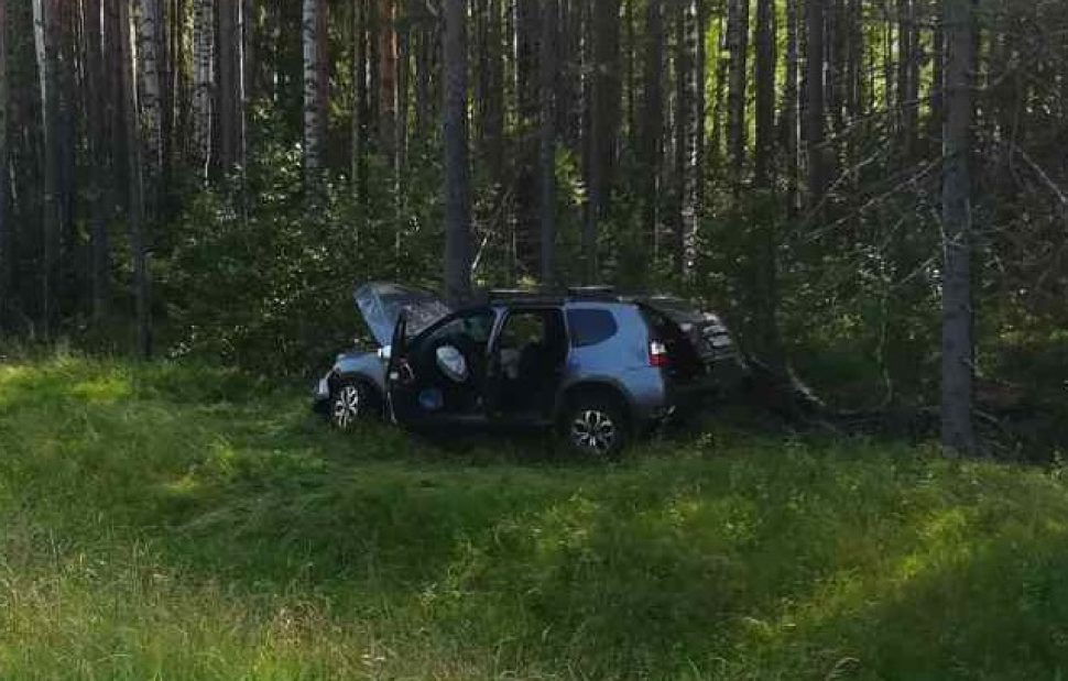 фото ОМВД Холмогорского района