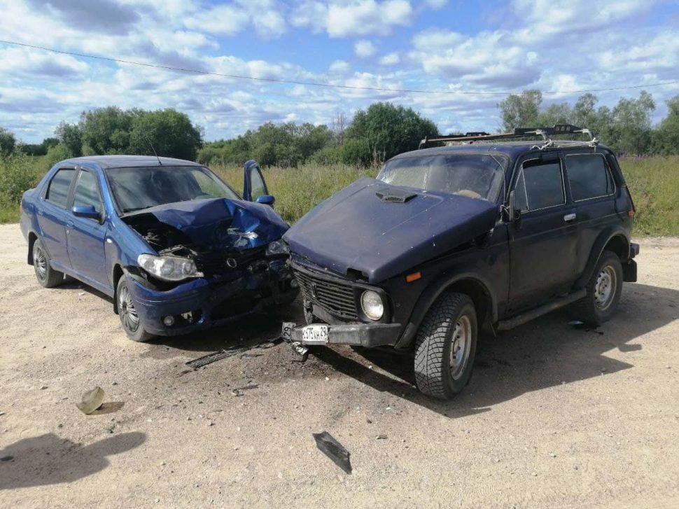 Ребёнок и отец пострадали в ДТП под Емецком