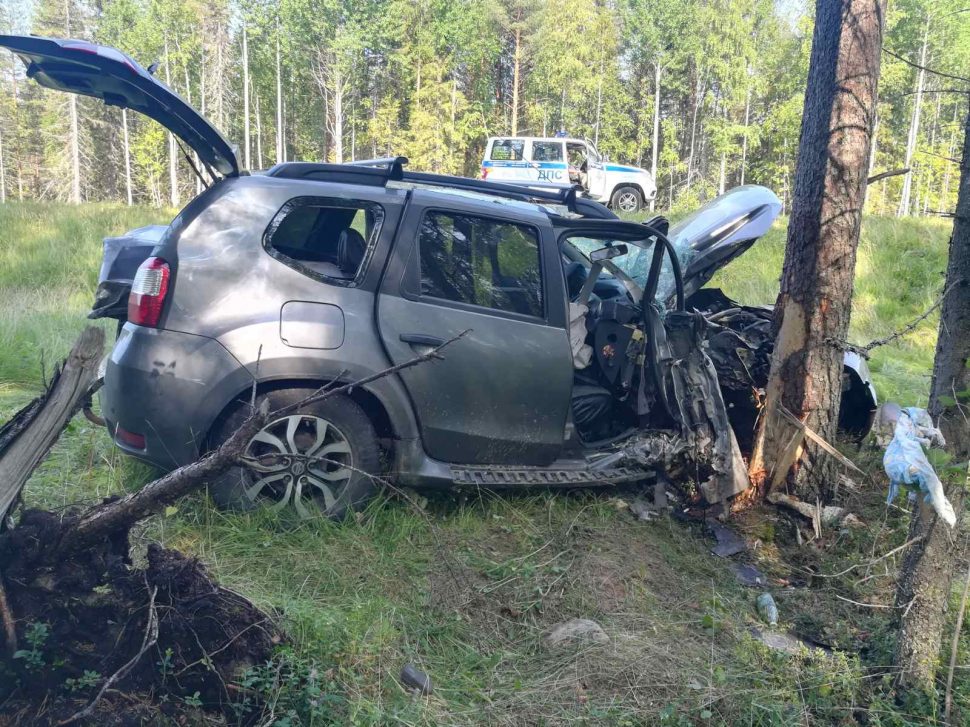 фото ОМВД Холмогорского района