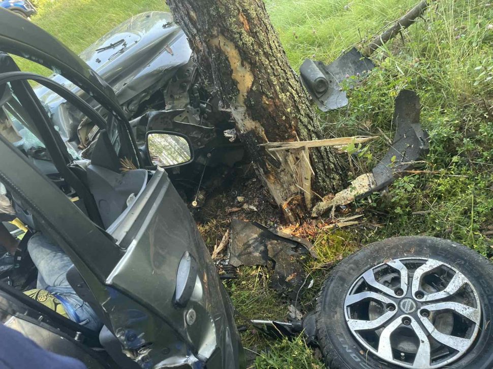 фото ОМВД Холмогорского района