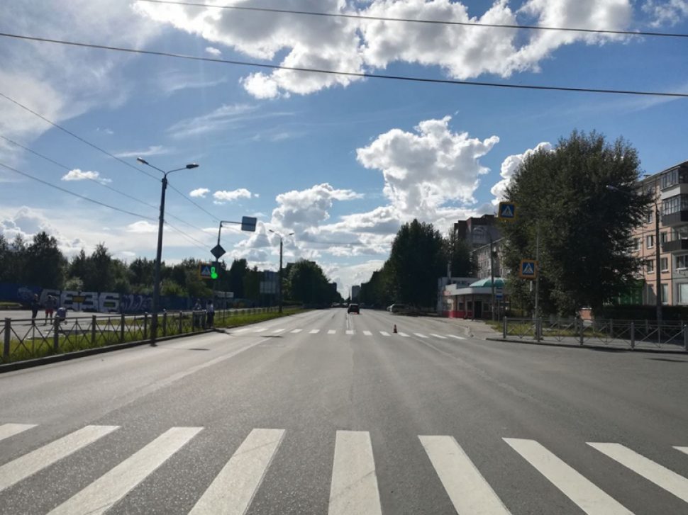 фото УМВД по Архангельской области