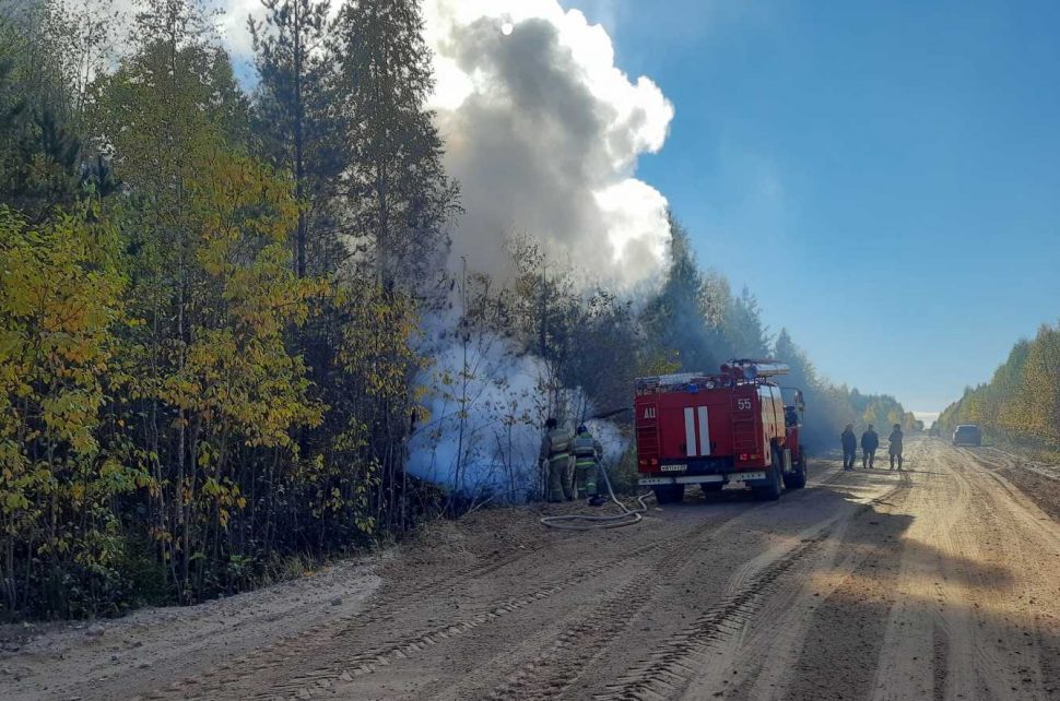 фото ОМВД по Холмогорского района