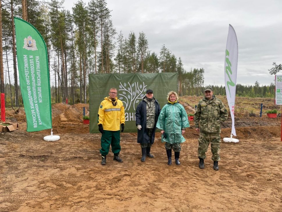 фото ФБУ «Рослесозащита»