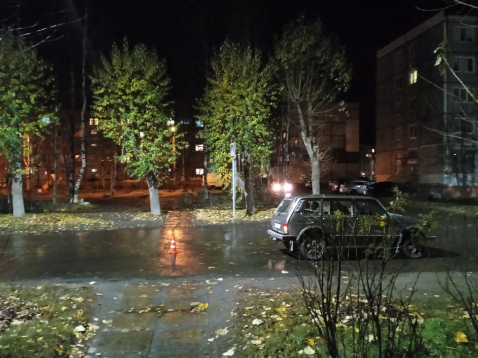 фото УМВД по Архангельской области