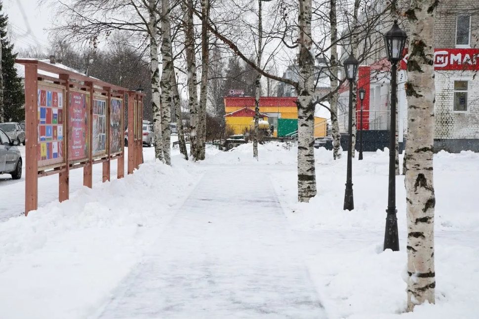 Фото со страницы VK Александр Цыбульский
