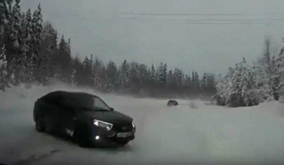 стоп-кадр из видео ОМВД по Холмогорскому району