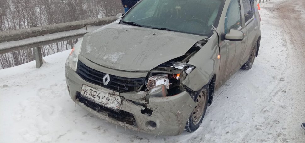 фото: ОМВД по Холмогорскому району