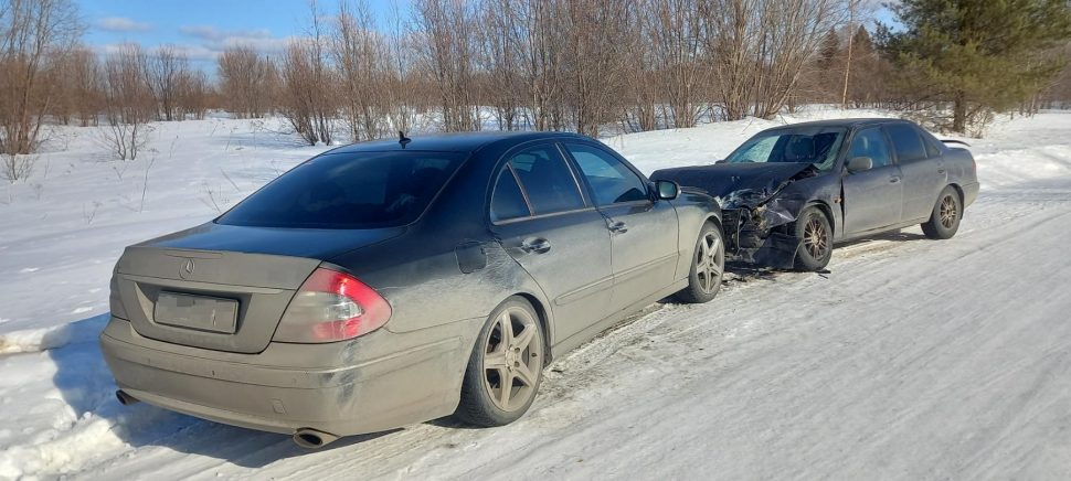 фото: ОМВД по Холмогорскому району