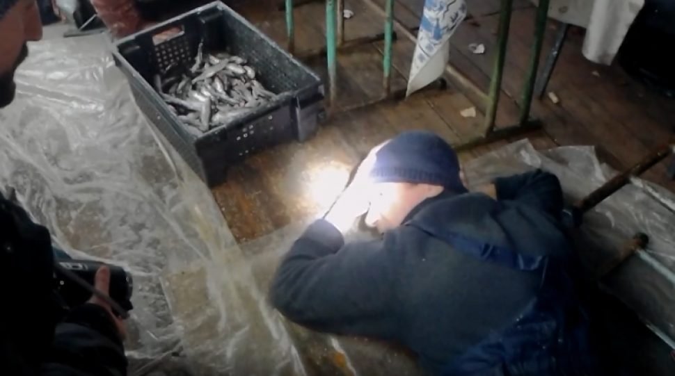 Скриншот с видео. Росгвардия по Архангельской области