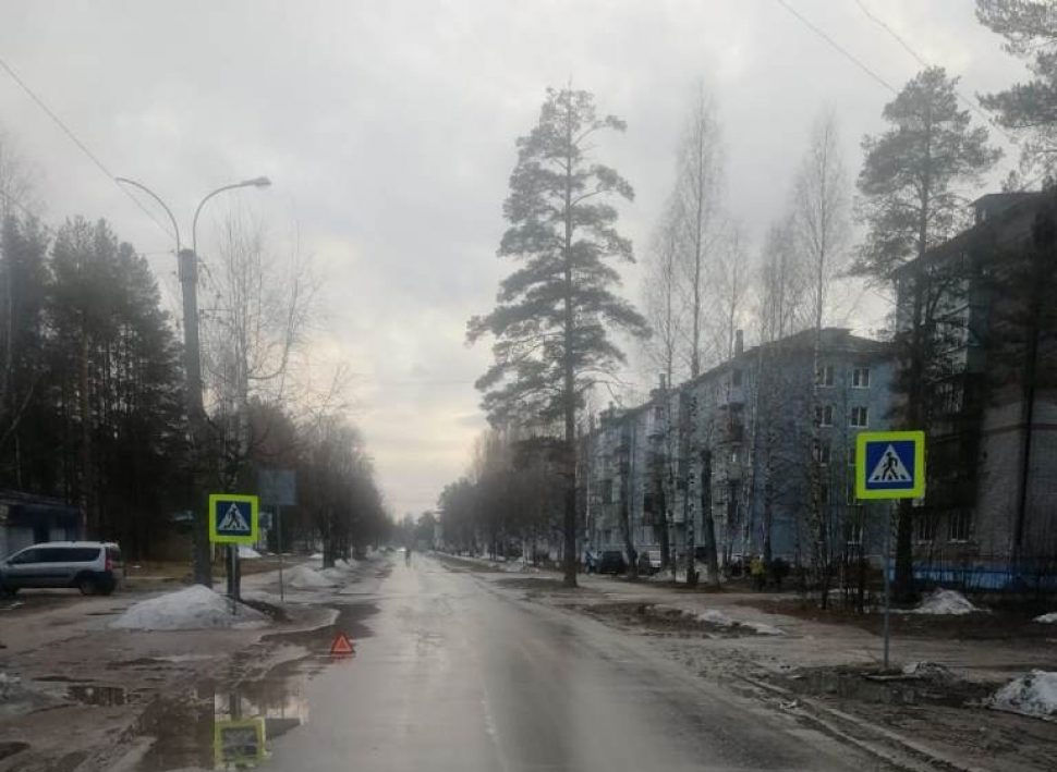фото: ОМВД по Плесецкому району
