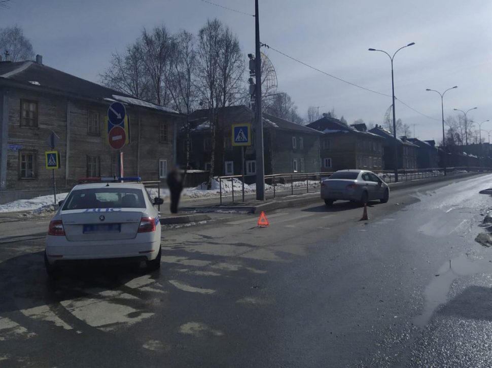 фото: УМВД по Архангельской области