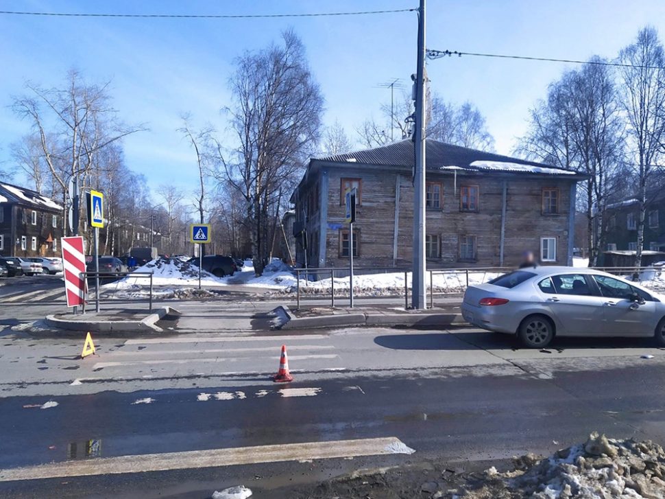 фото: УМВД по Архангельской области
