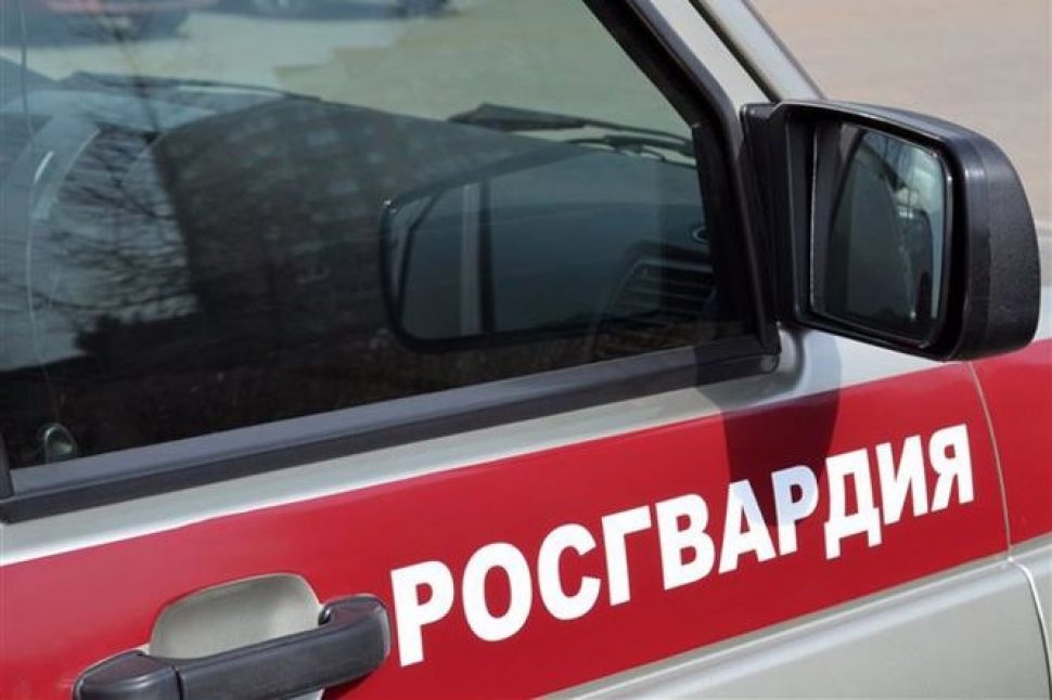 Архангельская Росгвардия нашла пропавшего 11-летнего ребёнка