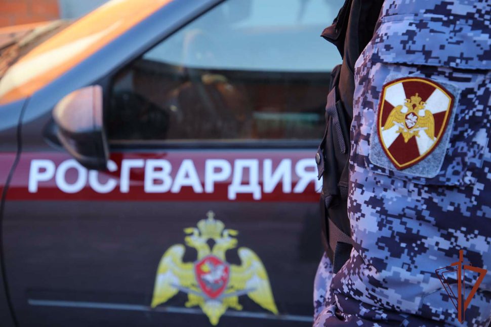 В Архангельске иностранец похитил из магазина контрацептивы 