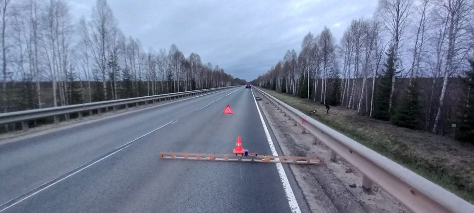 ОМВД по Холмогорскому району