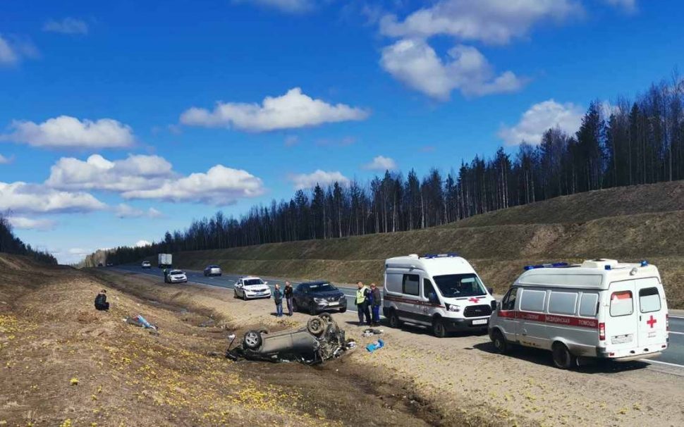 фото: ОМВД по Холмогорскому району