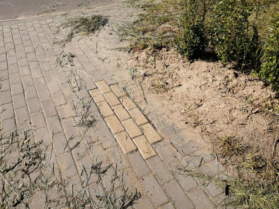 В Приморском парке Северодвинска косят траву