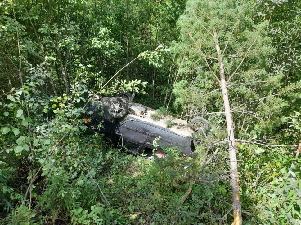 фото ОГИБДД Каргополь