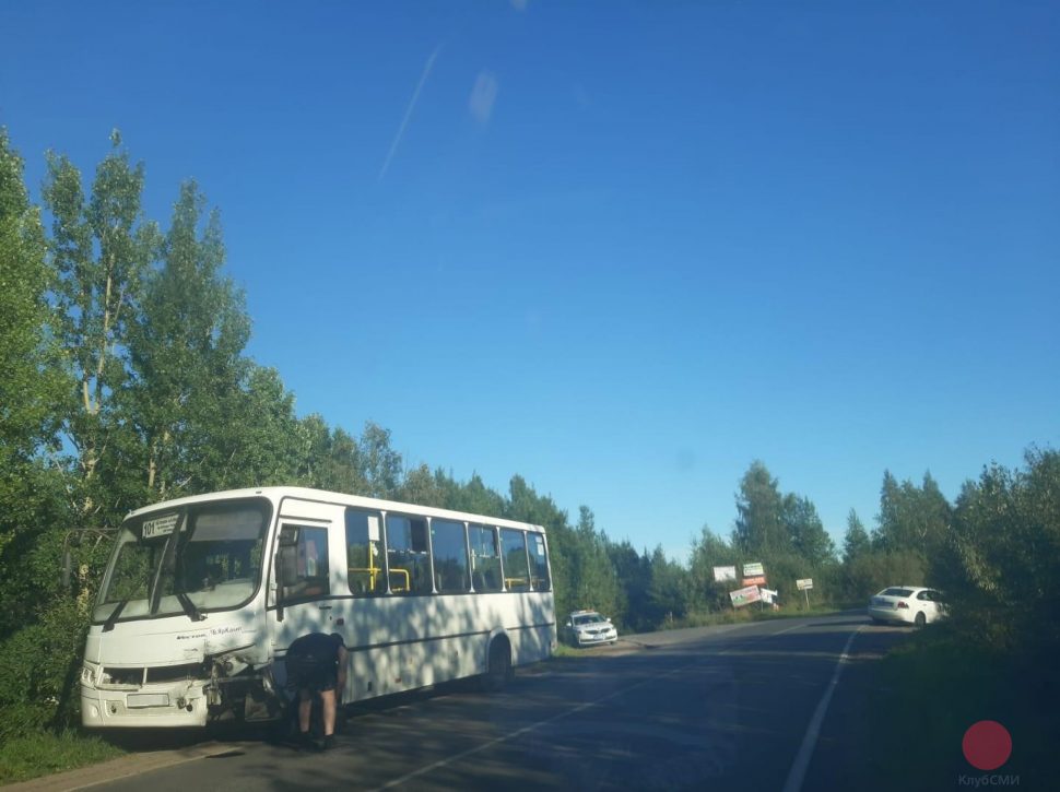В ДТП под Северодвинском водитель иномарки получил травмы