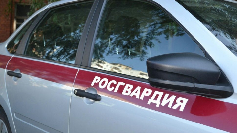 В Северодвинске мужчина напал на пенсионерку