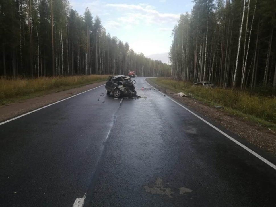 фото Госавтоинспекции Архангельской области