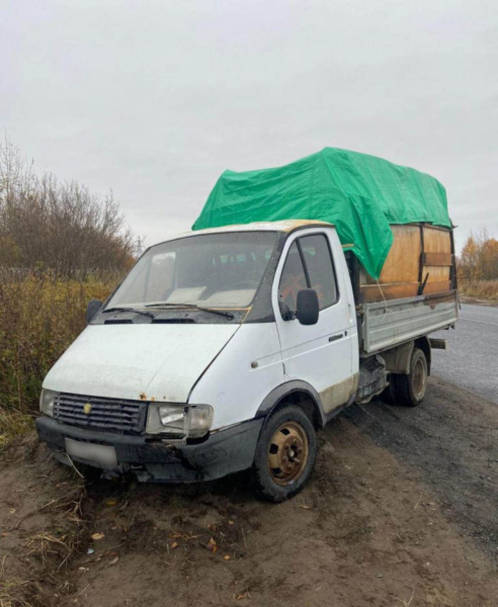 фото УМВД Архангельской области