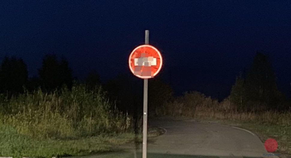 На въезде в Северодвинск нарисовали мужской половой орган